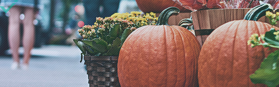 Environ 48 % des Italiens célèbrent Halloween. 