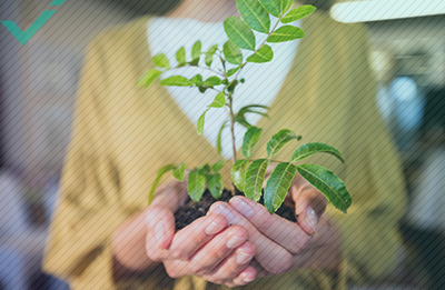 E-commerce et préservation du climat : que pouvez-vous faire ?